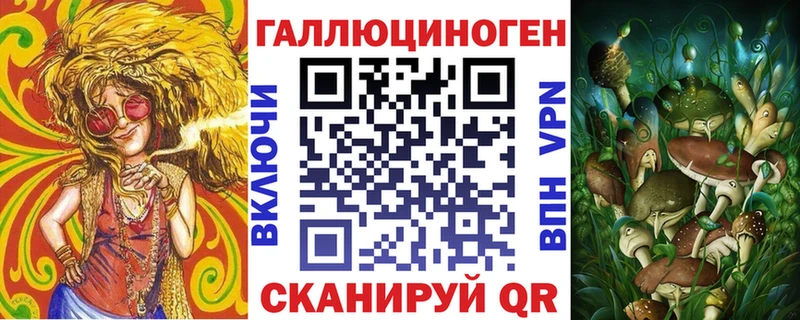 хочу   Камень-на-Оби  Галлюциногенные грибы Psilocybe 