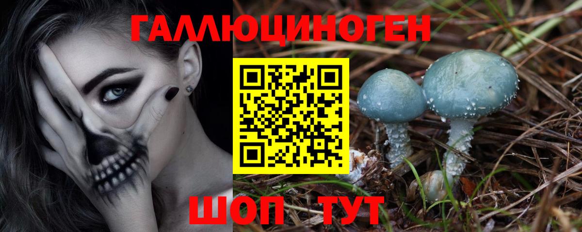 Псилоцибиновые грибы мицелий Камень-на-Оби