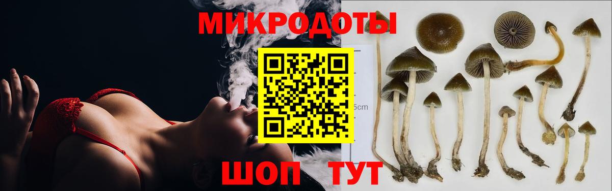 хочу   Вход с VPN  Камень-на-Оби  Галлюциногенные грибы Magic Shrooms 